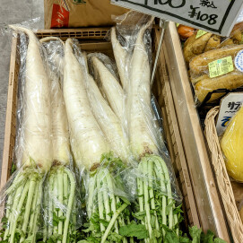 7月24日のおすすめ！『大根』108円！