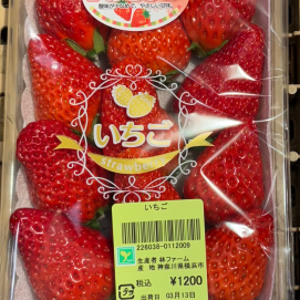 3月13日のおすすめ！自社農園産のいちご『あきひめ』