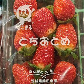 12月5日のおすすめ！いちご『とちおとめ』