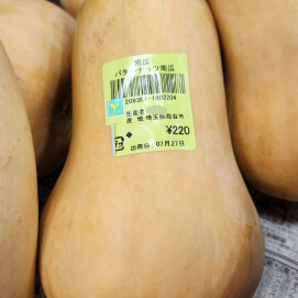 7月27日のおすすめ！埼玉県産 南瓜『バターナッツ南瓜』