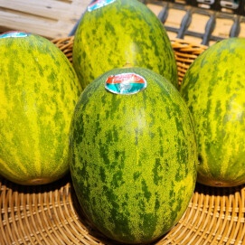 3月13日のおすすめ！『パパイヤメロン』