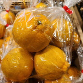 2月1日のおすすめ!柑橘『不知火(しらぬい)』