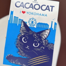 横浜限定CACAO CAT
