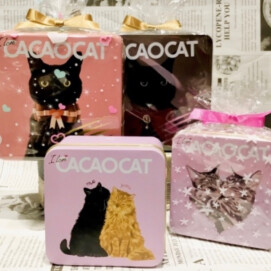 🐈‍⬛💗CACAOCATバレンタインパッケージ入荷しました‼️