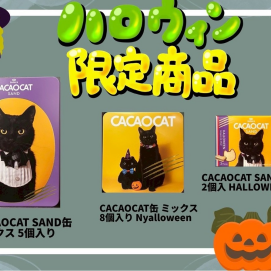 🎃ハロウィン限定 カカオキャット入荷しました❣️