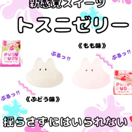 トスニゼリー入荷しました。