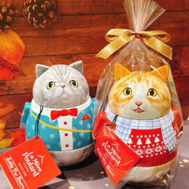 2/22は猫の日 🐈🐾
