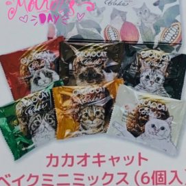 母の日のギフトにもおすすめ❣️ (CACAOCAT) BAKE miniミックス 6個入り