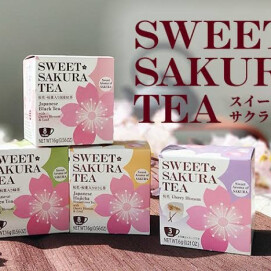 桜の季節がやってきました🌸