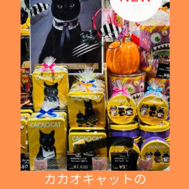 CACAOCAT 期間限定Nyalloween缶入荷しました🐈‍⬛🧡