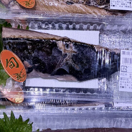5月15日のおすすめ！かつお祭開催中！