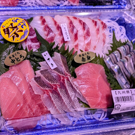 6月28日のおすすめ！九州の海の幸『刺身盛合せ』