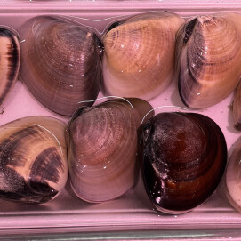 3月1日のおすすめ！『地はまぐり』