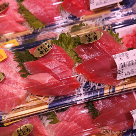 2月24日のおすすめ！長崎県産『本まぐろ刺身』