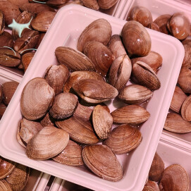 4月8日のおすすめ！北海道産『あさり』