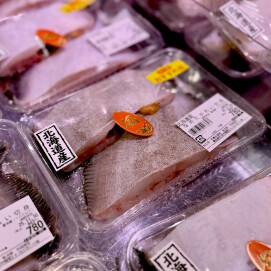 11月28日のおすすめ!北海道産『なめたがれい切身』