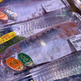 11月10日のおすすめ！『いなだ刺身用』（ぶりの幼魚）