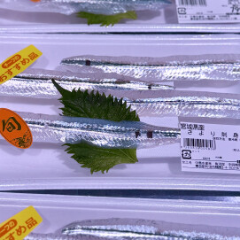 1月7日のおすすめ！宮城県産『さより刺身用』