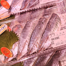 5月14日のおすすめ！佐賀県産『まあじ刺身用』