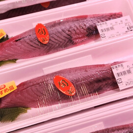 4月2日のおすすめ！『かつお刺身用』