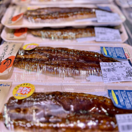 5月23日のおすすめ！鹿児島県産原料使用『炭火焼うなぎ蒲焼』