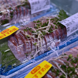 12月19日のおすすめ!鳥取県産『まあじ刺身』