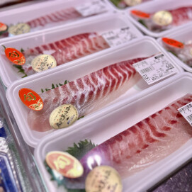 3月22日のおすすめ！天然『くろだい刺身用』
