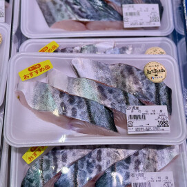 12月10日のおすすめ!石川県産『さわら切身』