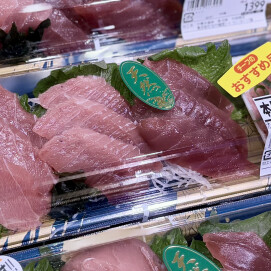 6月30日のおすすめ！天然『みなみまぐろ(インドまぐろ)刺身』