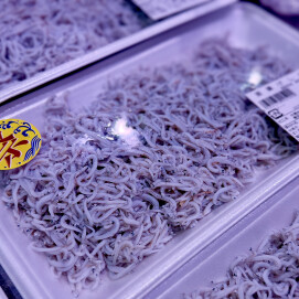 11月6日のおすすめ！茨城県産『釜揚げしらす』