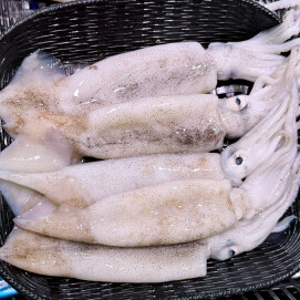 6月22日のおすすめ！宮城県産『するめいか』