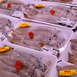 9月17日のおすすめ!北海道・青森県沖太平洋産『するめいか』