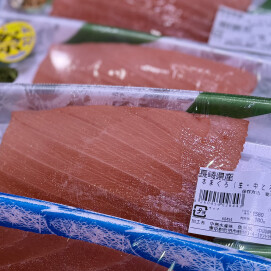 3月20日のおすすめ！長崎県産『本まぐろ刺身』