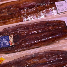 1月8日のおすすめ！炭火焼『うなぎ蒲焼』