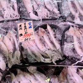 7月30日のおすすめ！宮城県産『するめいか』