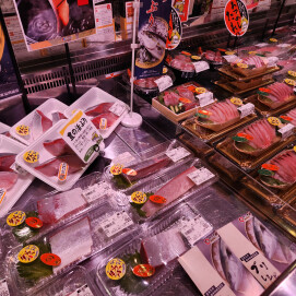 1月23日のおすすめ! 本日より 『大分県 豊の活ぶり祭』開催