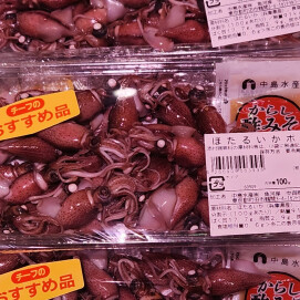 2月5日のおすすめ！『ほたるいかボイル』