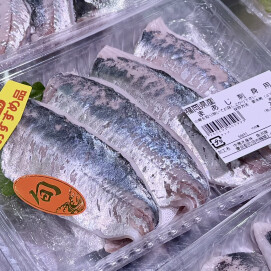 6月10日のおすすめ！福岡県産『まあじ刺身用』