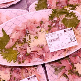 5月18日のおすすめ！鹿児島県産『まあじたたき 刺身』