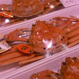 12月1日のおすすめ!『ずわいがに(松葉がに)ボイル』