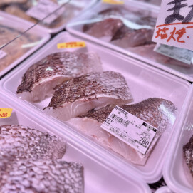 7月16日のおすすめ！静岡県産『まだい切身』