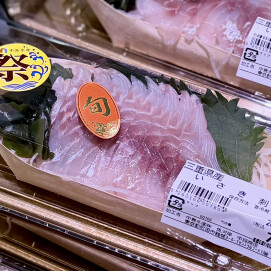 6月17日のおすすめ！三重県産『いさき刺身』
