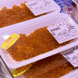 8月10日のおすすめ!『いくら醤油漬』