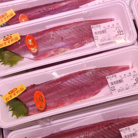 4月20日のおすすめ！『かつお』