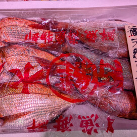 5月8日のおすすめ！『天然鮮魚』