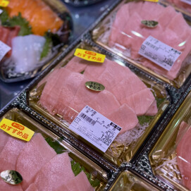 1月22日のおすすめ!マルタ産『本まぐろ刺身』