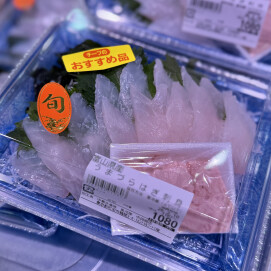 2月10日のおすすめ！富山県産『うまづらはぎ刺身』