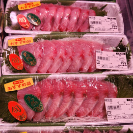 2月19日のおすすめ！「ぶり刺身」(天然)