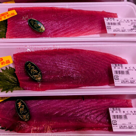 5月24日のおすすめ！『きはだまぐろ刺身』
