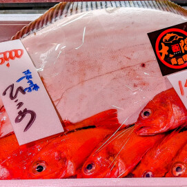 8月20日のおすすめ！　旬の魚が『大漁』入荷！